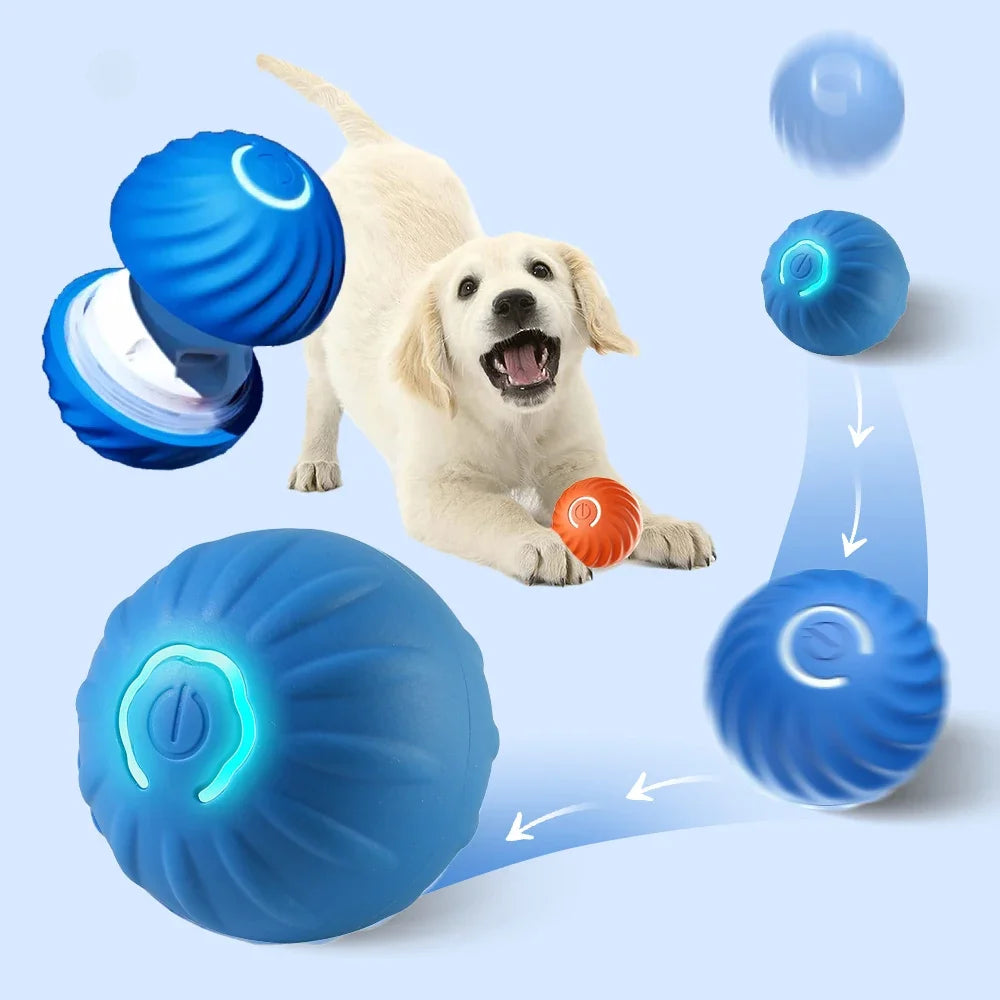 WagWise™ Smart Ball – Moves On Its Own!