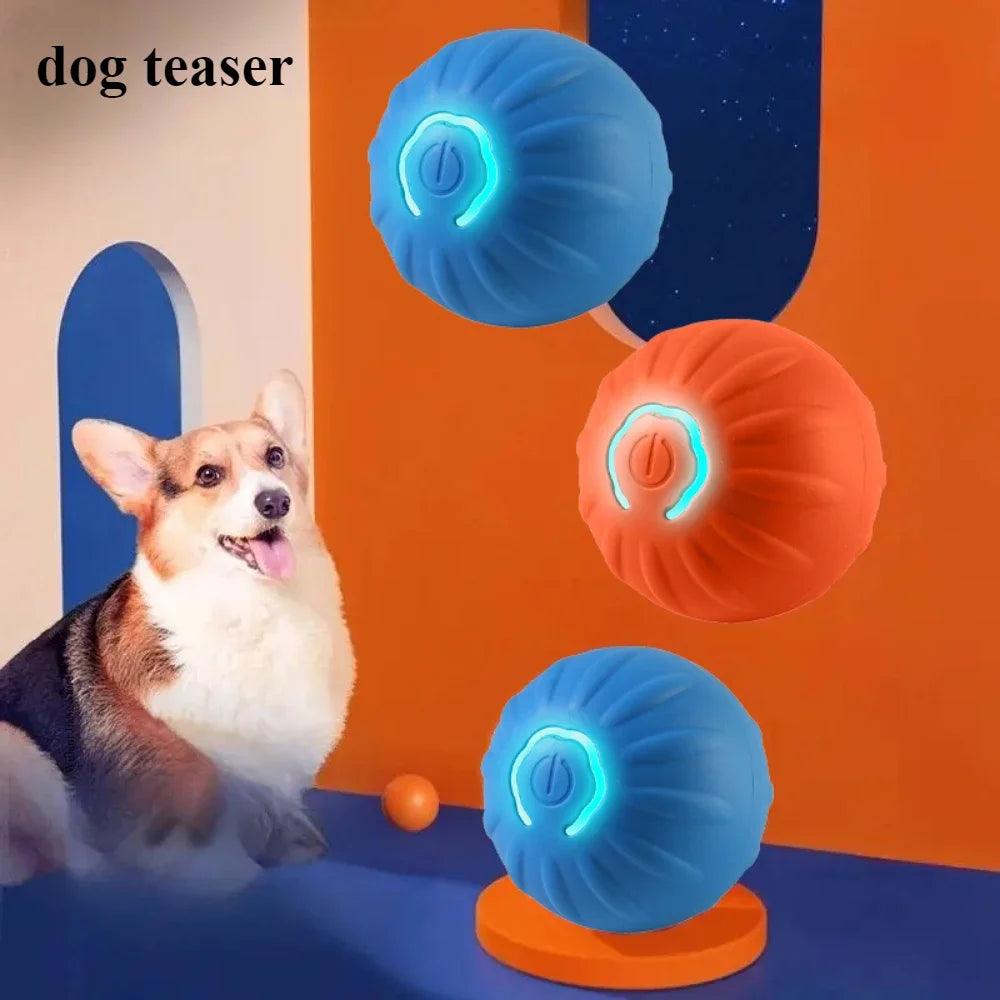 WagWise™ Smart Ball – Moves On Its Own!