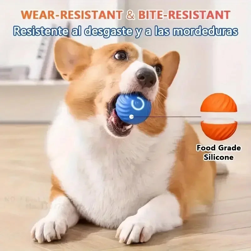 WagWise™ Smart Ball – Moves On Its Own!
